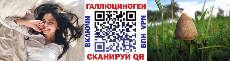 купить   Кочубеевское  Галлюциногенные грибы прущие грибы 